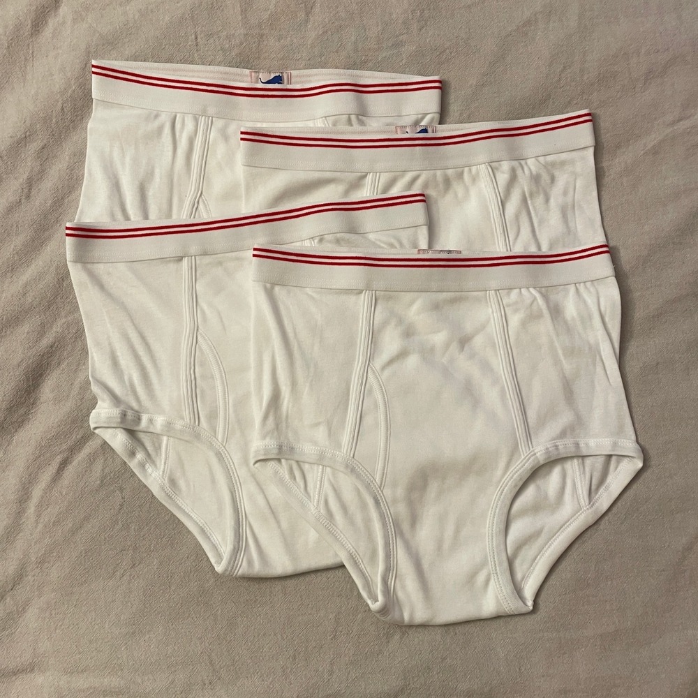 Vintage 4 Pack Tiger Briefs Mens 32-34 White Red Stripe Waistband Deadstock NEW